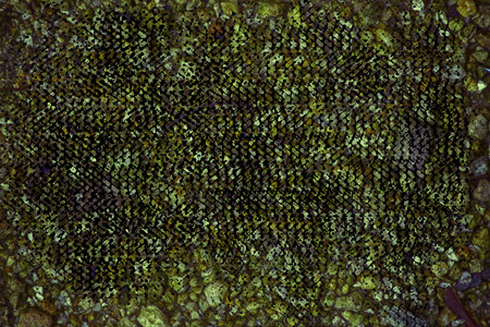Dirty grunge Pebble surface, stone texture or rock backdrop, ground background.