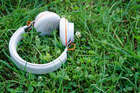 Headphone lies on green grass in sunny day, business concept.