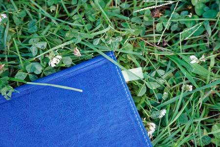 Blue notebook on the green grass in park.