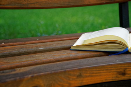 Open Notebook lies bench in park, business concept.の写真素材