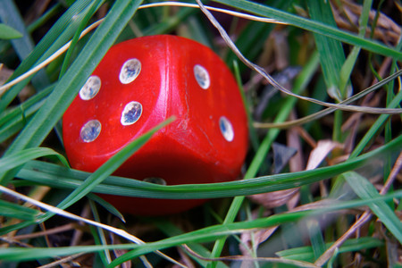 Close-up dice on the grass, chance for winning.
