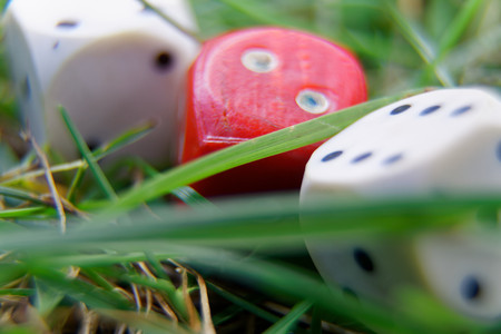 Close-up dice on the grass, chance for winning.