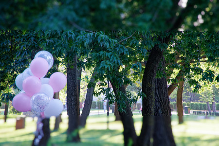 Pink balloon in the autumn field. Funny mood, prepare for celebrating, holiday event or partyの写真素材
