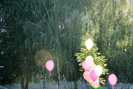 Pink balloon in the autumn field. Funny mood, prepare for celebrating, holiday event or partyの写真素材