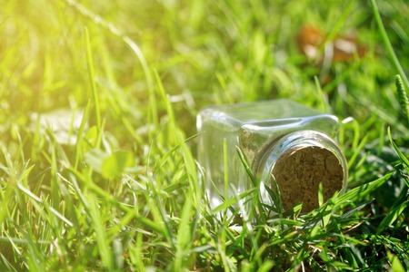 Bottle with coins stands on grass bench, transparent jar.の写真素材