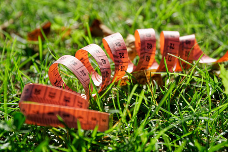 Fit centimeter on green grass measuring tape.の写真素材