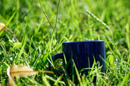 Empty tea cup stands on green grassの写真素材