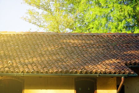 Old red tiled roof, close-up and green tree on background.