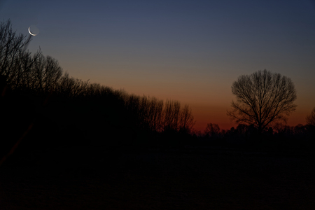 Sunrise in field with a cloudy sky.の写真素材