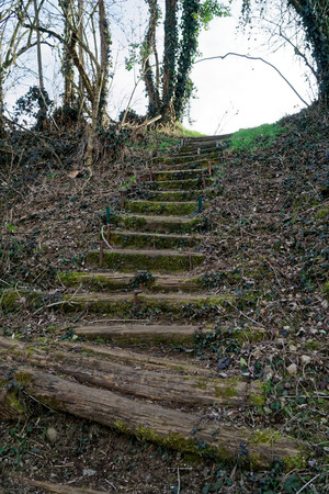 Wooden steps from log and moss, wooden stairs.の写真素材