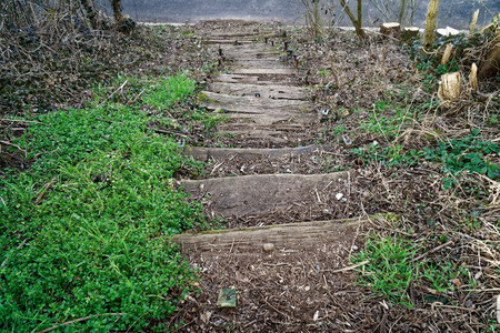 Wooden steps from log and moss, wooden stairs.の写真素材