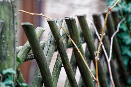 Medieval wooden stock, old wooden fence facade.の写真素材