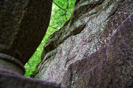 Botanical zen stone garden with water drops and rocksの写真素材