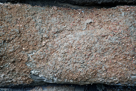 Botanical zen stone garden with water drops and rocksの写真素材