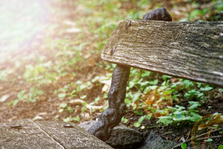 Old wooden bench, place for relax and meditationの写真素材