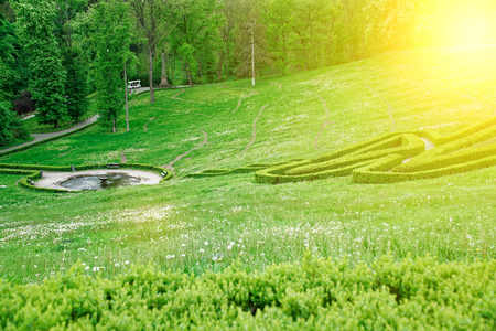 Green maze and Garden stone path with grass growing up between the stones. Detail of a botanical garden.の写真素材