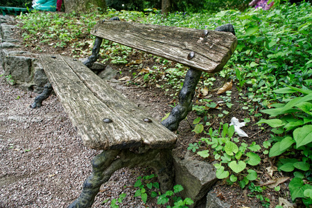 Old wooden bench, place for relax and meditationの写真素材
