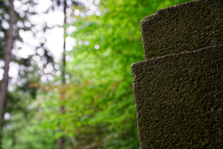 Botanical zen stone garden with water drops and rocksの写真素材