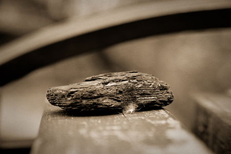 Brown wooden bark on wooden bench, close-up objects, defocused background.の写真素材