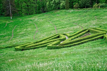 Green maze and Garden stone path with grass growing up between the stones. Detail of a botanical garden.の写真素材