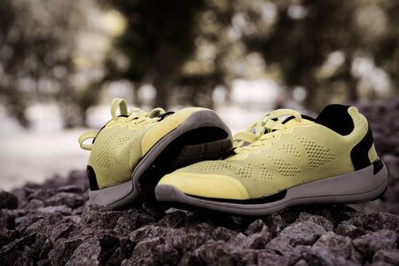 Trail running shoes in a park, close-up sneakers. Running shoes before practice. Sport active lifestyle concept. Horizontal photo banner for website header design.の写真素材