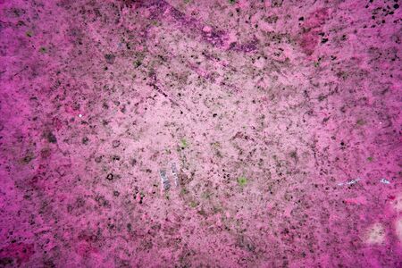 Living coral vivid color concrete wall, stone surface.の写真素材
