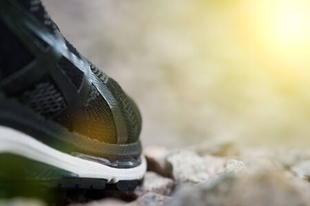 Running shoes before practice. Trail running shoes in a park, close-up sneakers. Sport active outdoor lifestyle concept. Horizontal photo banner for website header design. Sun beam lights.の写真素材