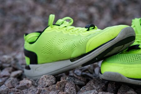 Trail running shoes in a park, close-up sneakers. Running shoes before practice. Sport active lifestyle concept. Horizontal photo banner for website header design.の写真素材