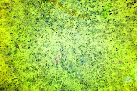 Quetzal Green colored concrete wall, stone surface.の写真素材