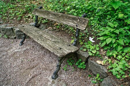 Old wooden bench, place for relax and meditationの写真素材