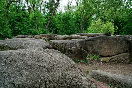 Botanical zen stone garden with water drops and rocksの写真素材