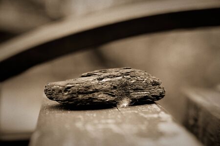 Brown wooden bark on wooden bench, close-up objects, defocused background.の写真素材