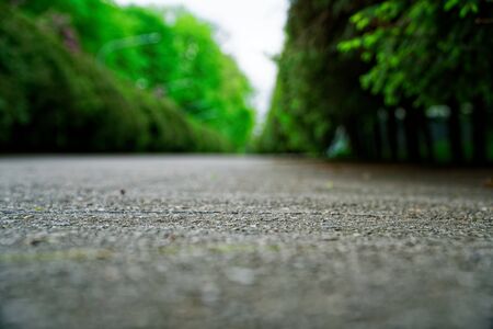 Garden stone asphalt path with grass growing up between the stones.Detail of a botanical gardenの写真素材