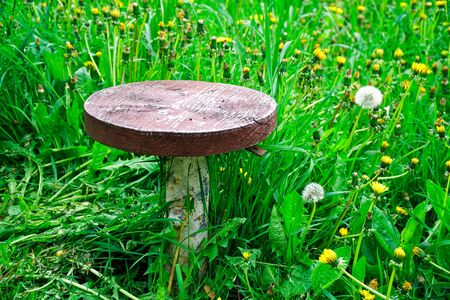 Wood chair on Green Grass Out Door, creative concept, medidation idea.の写真素材
