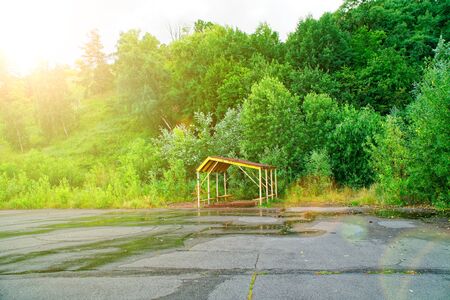 Barbecue gazebo in the forest, in the foreground blooming clover.の写真素材