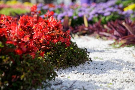 Flowerbed with different flowers and decoration on grass.の写真素材