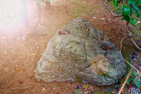 Japan park with boulders. Panorama of rockery rock garden. gardening background panoramic view....