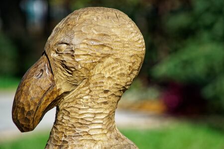 Wooden abstract sculpture in public park defocused background.の写真素材