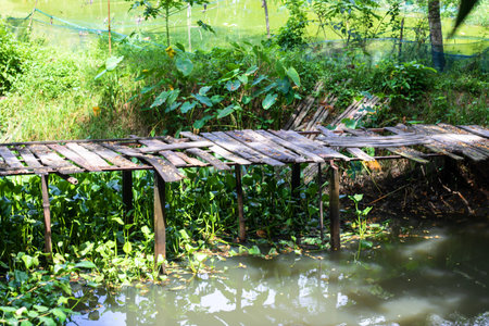 Wooden bridge over the river in the countryside of thailand.の写真素材