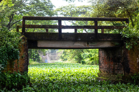 Old bridge over the river.の写真素材