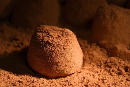 Truffleの写真素材