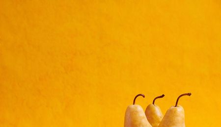 In Hasteの写真素材