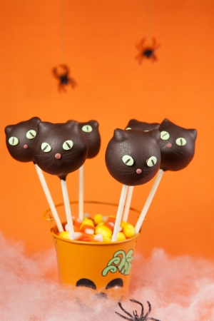 Cat cake popsの写真素材