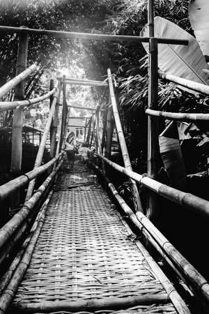 traditional bamboo bridgeの写真素材