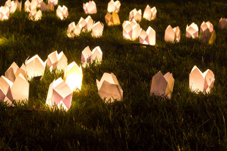CLUJ-NAPOCA, ROMANIA - JUNE 06, 2014: Festival of Illumination (Festivalul Luminii 2014)  in central park and candles on grass at summer night.のeditorial素材