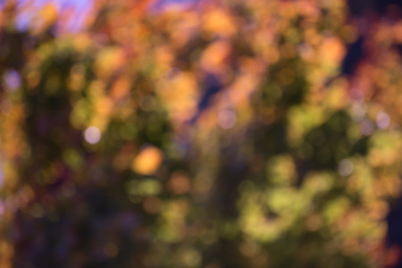 Colorful,fall,blurred,abstract background