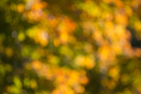 Colorful,fall,blurred,abstract backgroundの写真素材