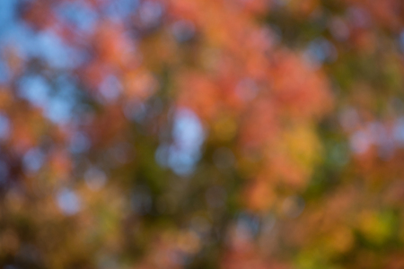 Colorful,fall,blurred,abstract backgroundの写真素材