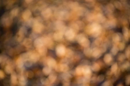 Colorful,fall,blurred,abstract backgroundの写真素材