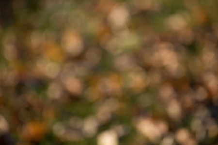 Colorful,fall,blurred,abstract backgroundの写真素材